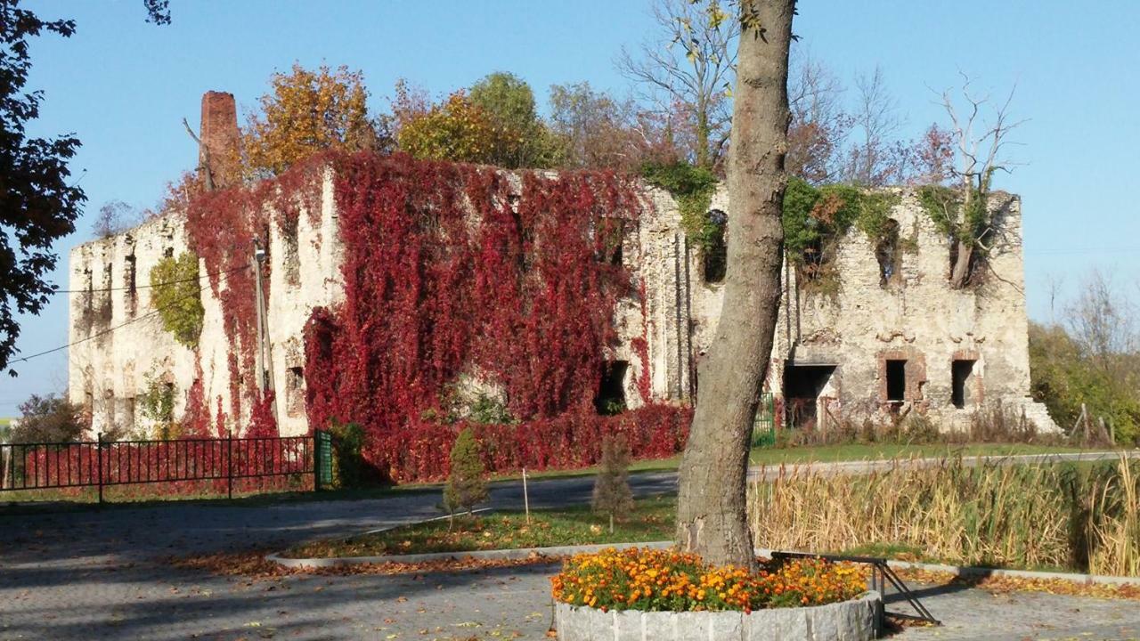 Palac Lucja Bb Zakrzów Exteriér fotografie