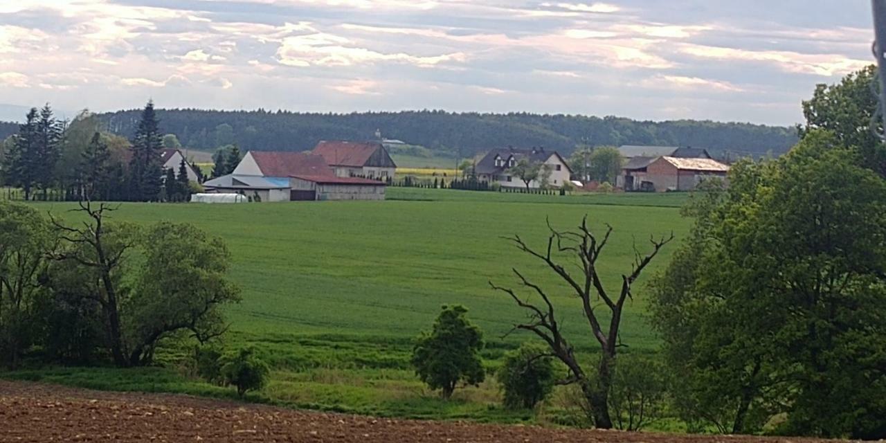 Palac Lucja Bb Zakrzów Exteriér fotografie